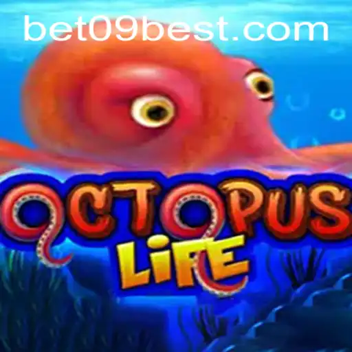 Explorando o Mundo de OctopusLife e a Plataforma Bet09